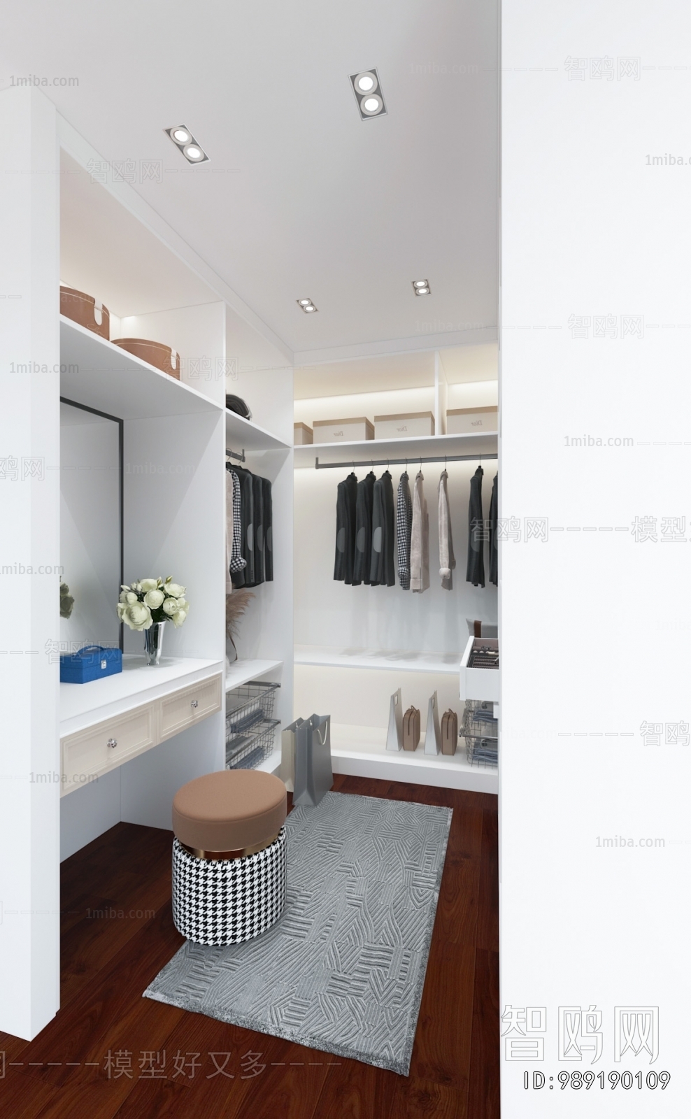 Modern Clothes Storage Area