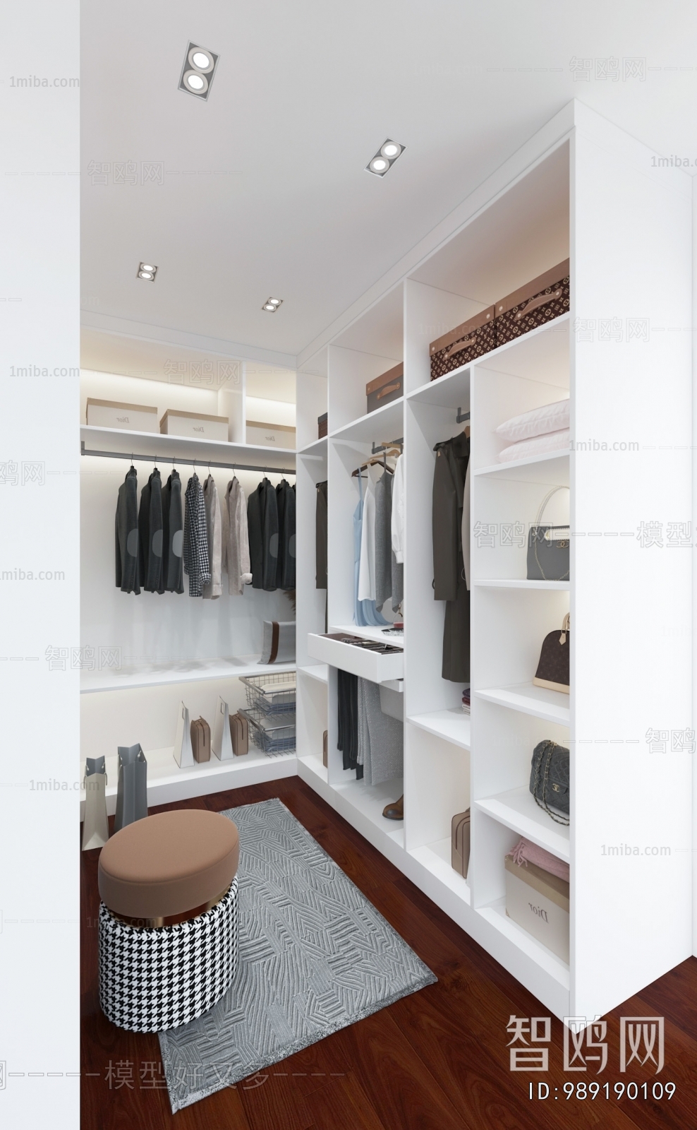 Modern Clothes Storage Area