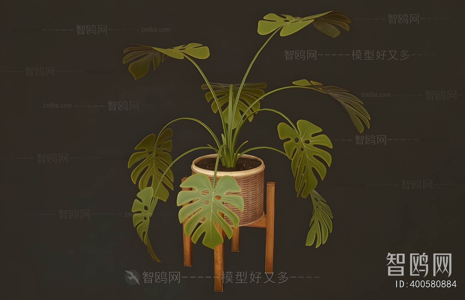 Modern Potted Green Plant