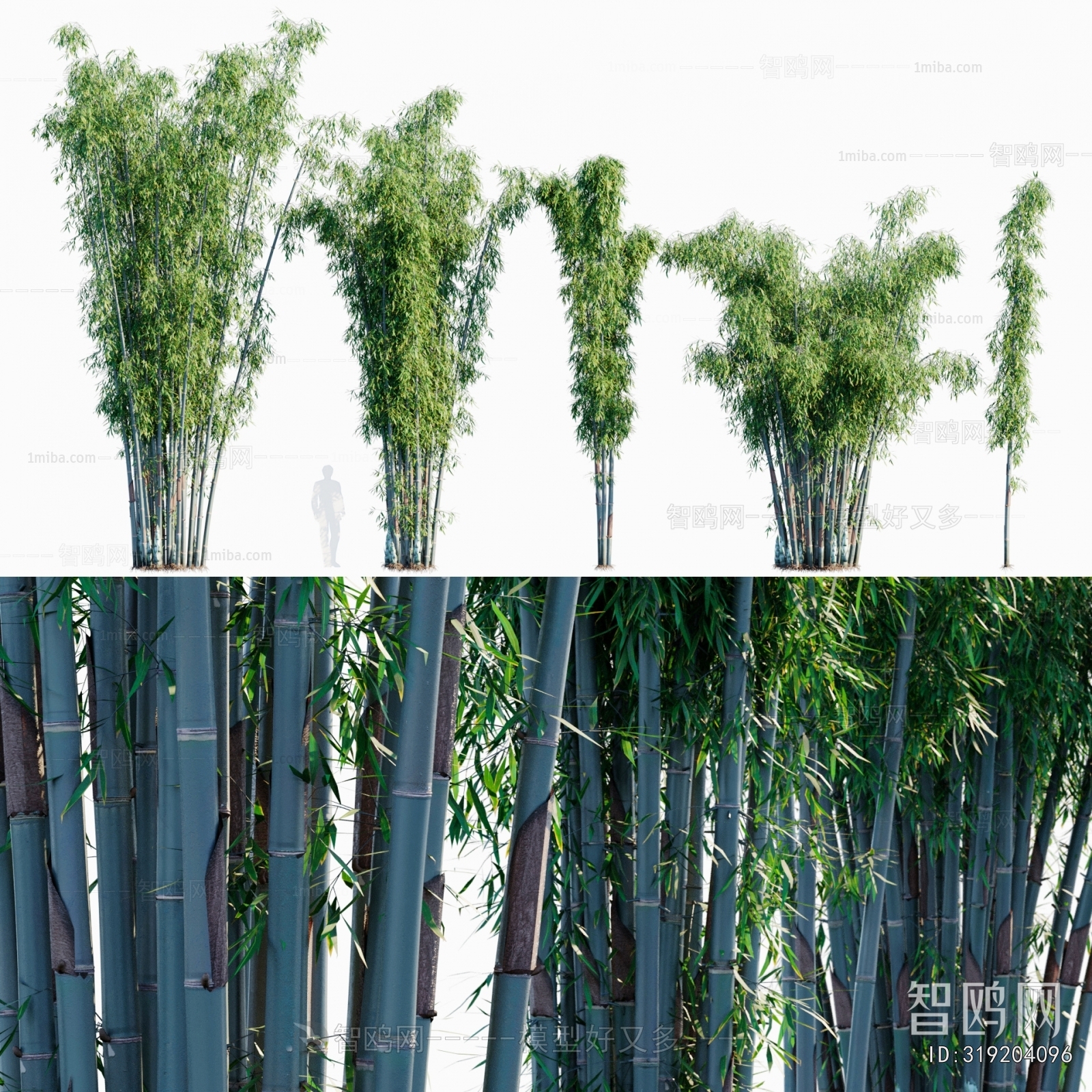 Modern Bamboo