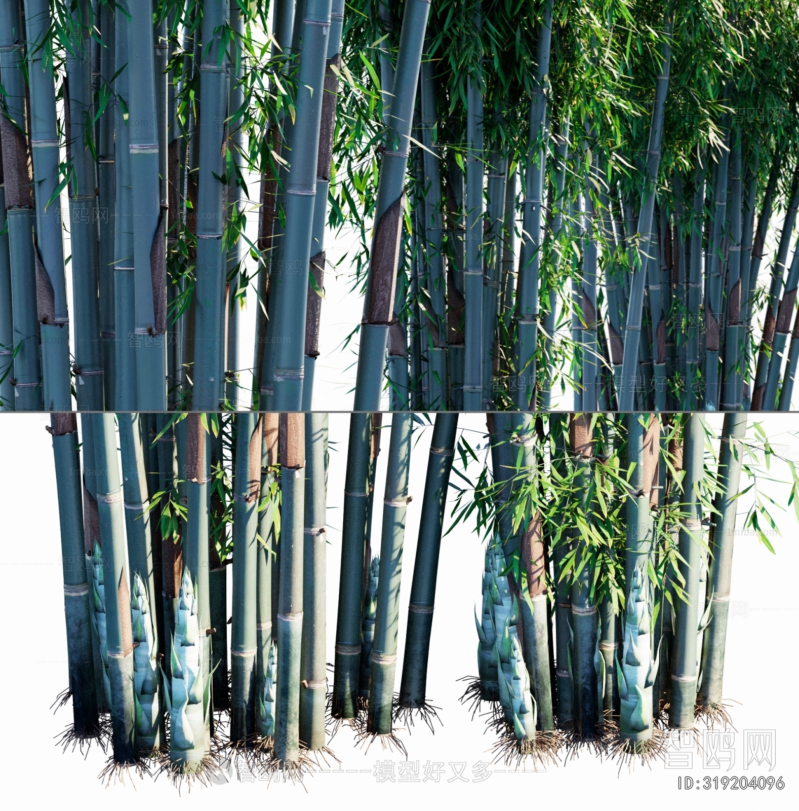 Modern Bamboo