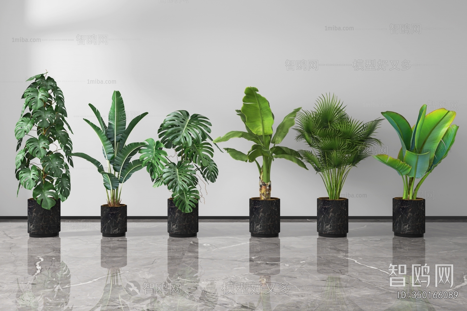 Modern Ground Green Plant Potted Plants