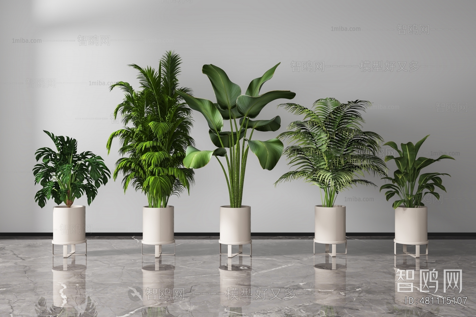 Modern Ground Green Plant Potted Plants