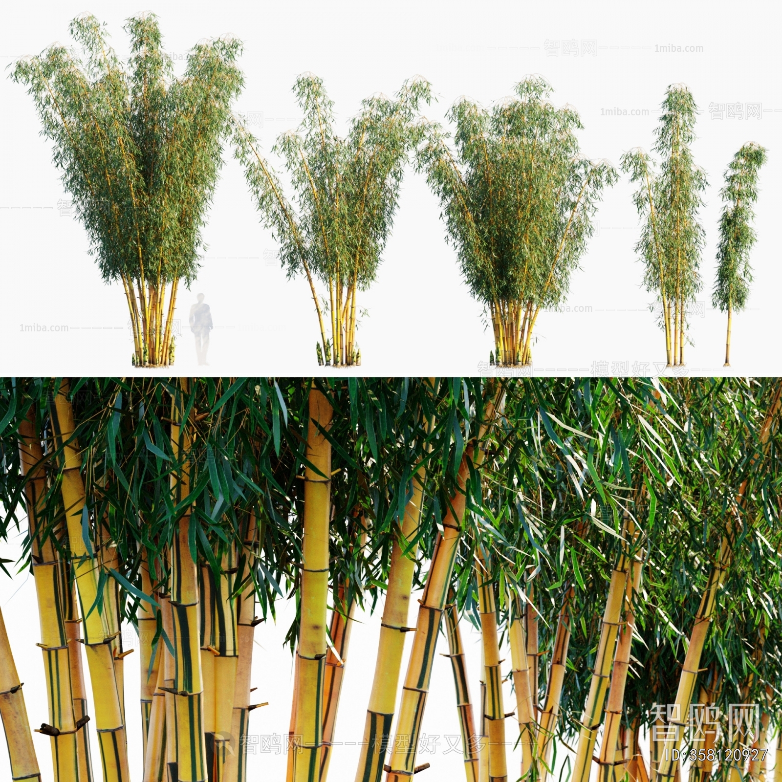 Modern Bamboo