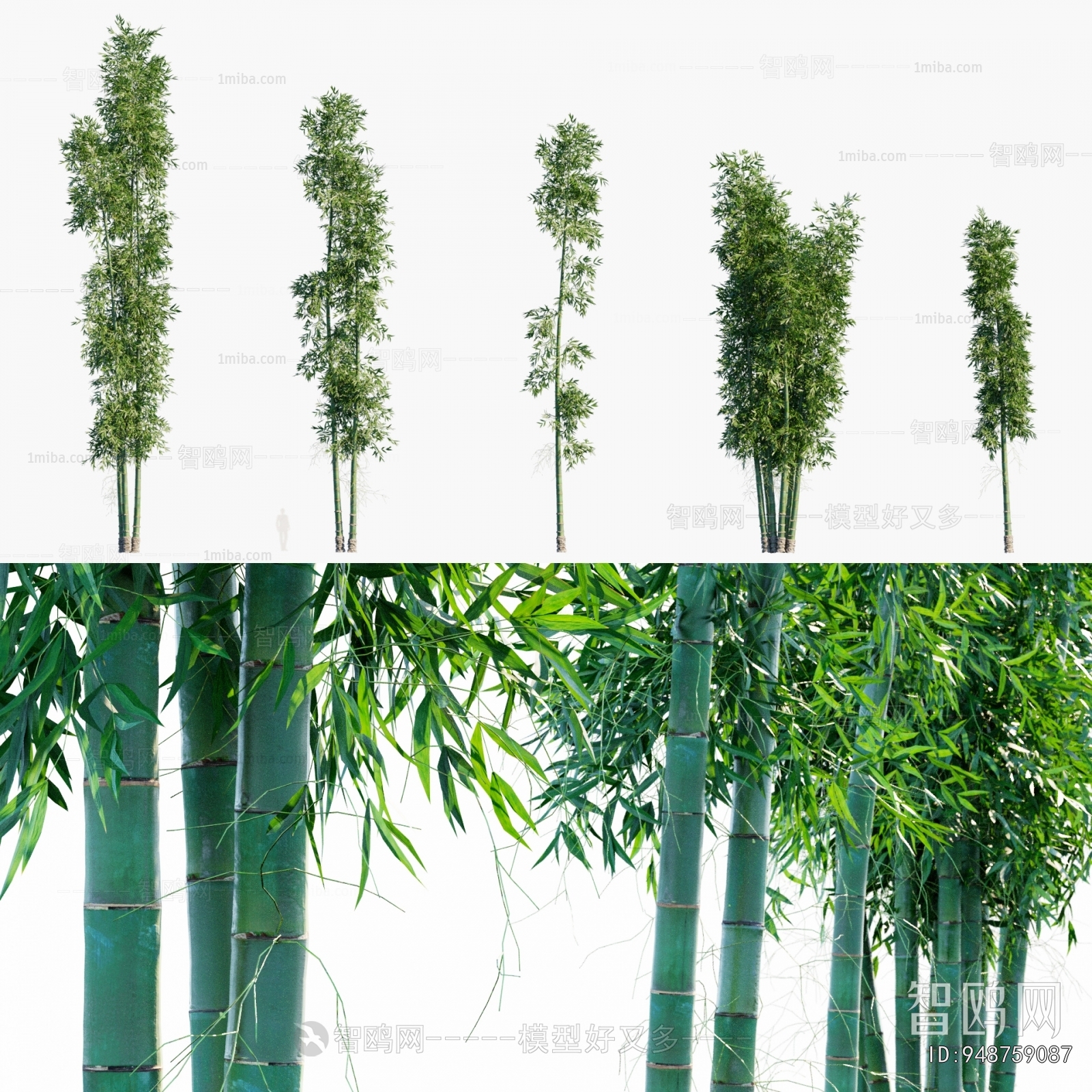 Modern Bamboo