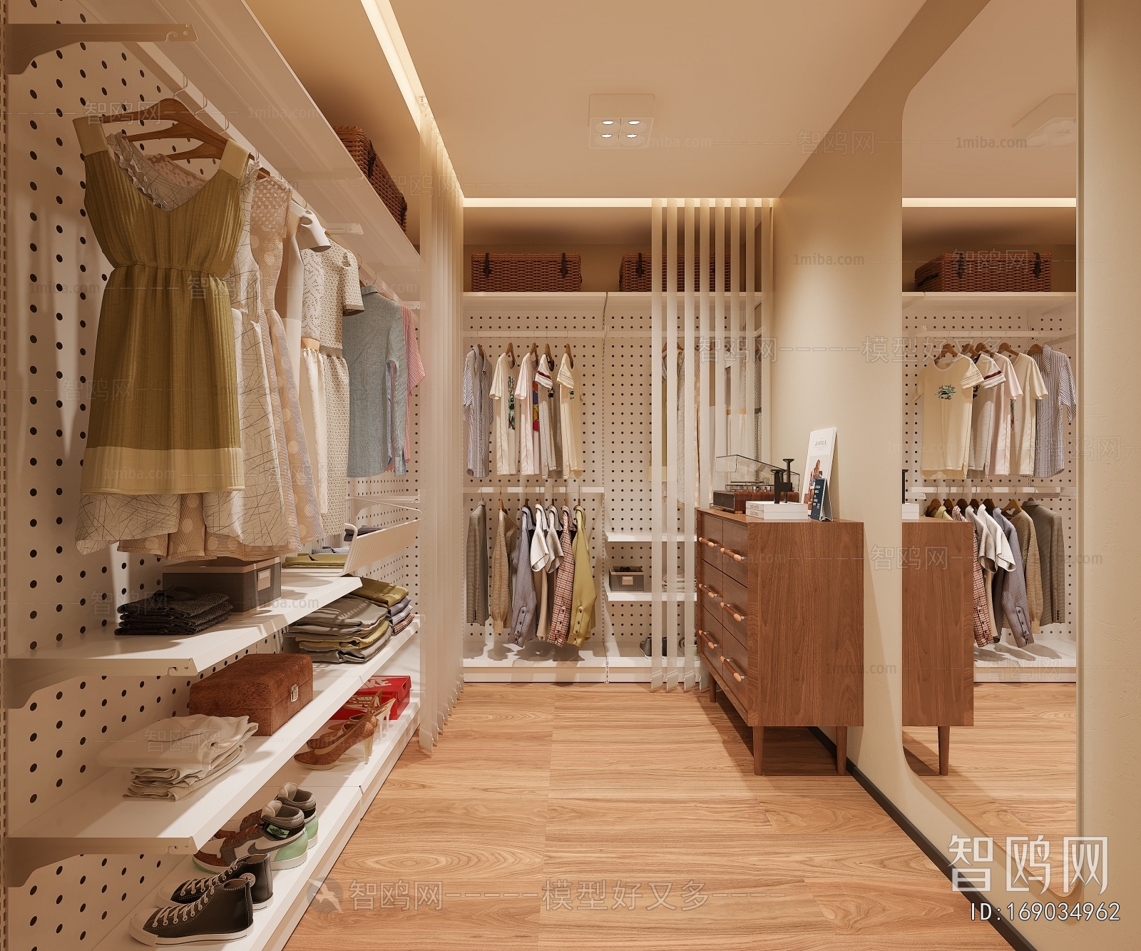 Modern Clothes Storage Area