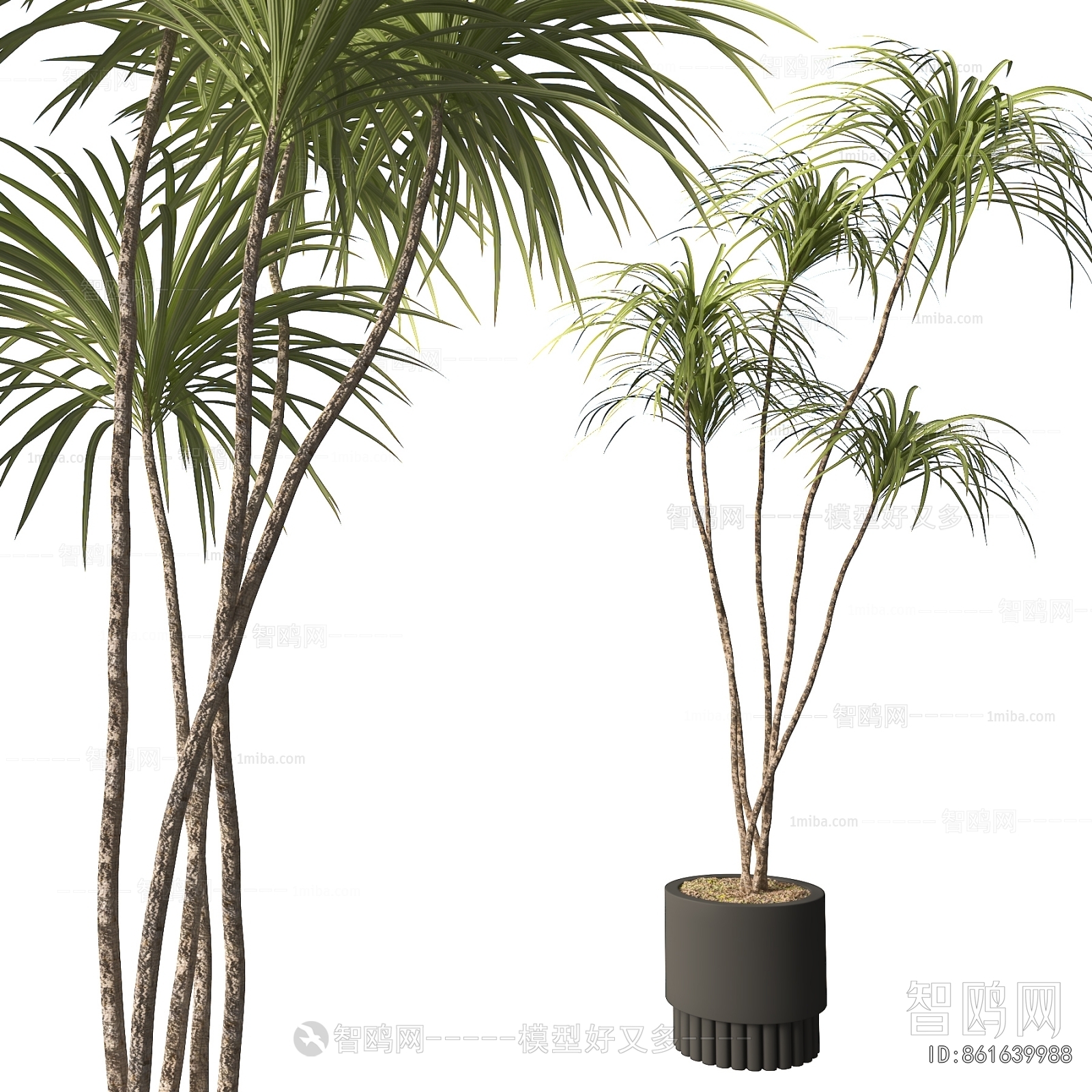 Modern Ground Green Plant Potted Plants