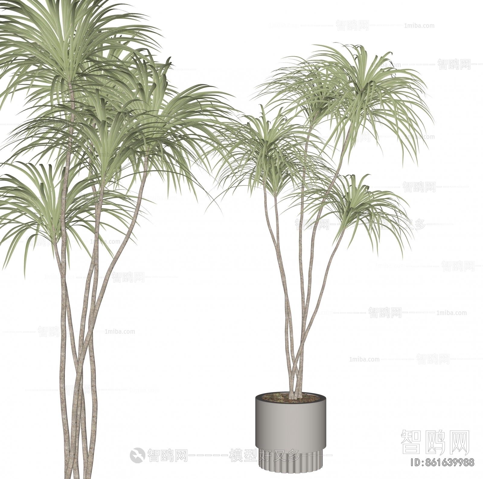 Modern Ground Green Plant Potted Plants