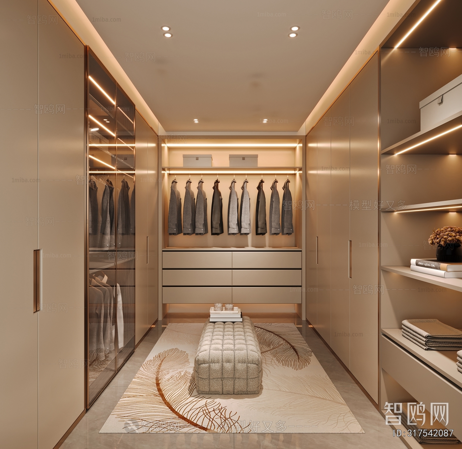 Modern Clothes Storage Area