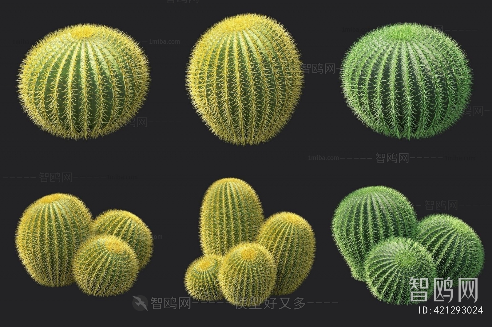 Modern Plant