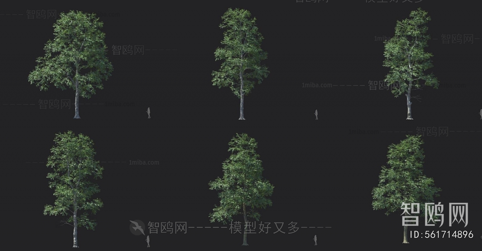 Modern Tree