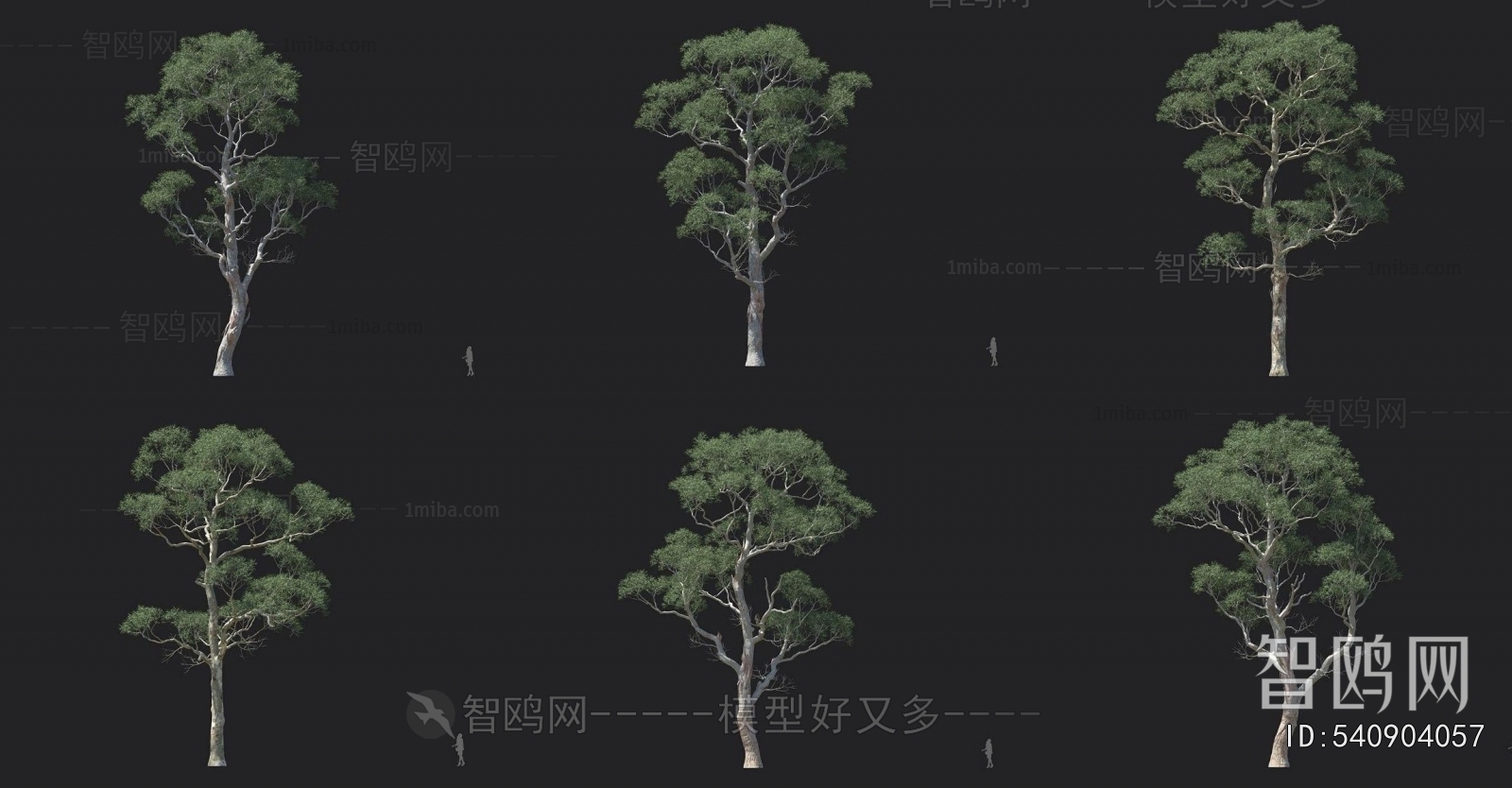 Modern Tree