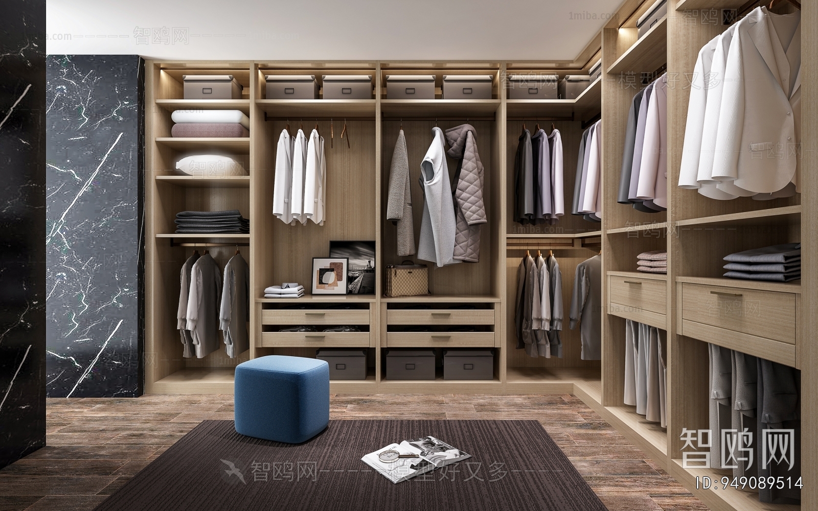 Modern Clothes Storage Area