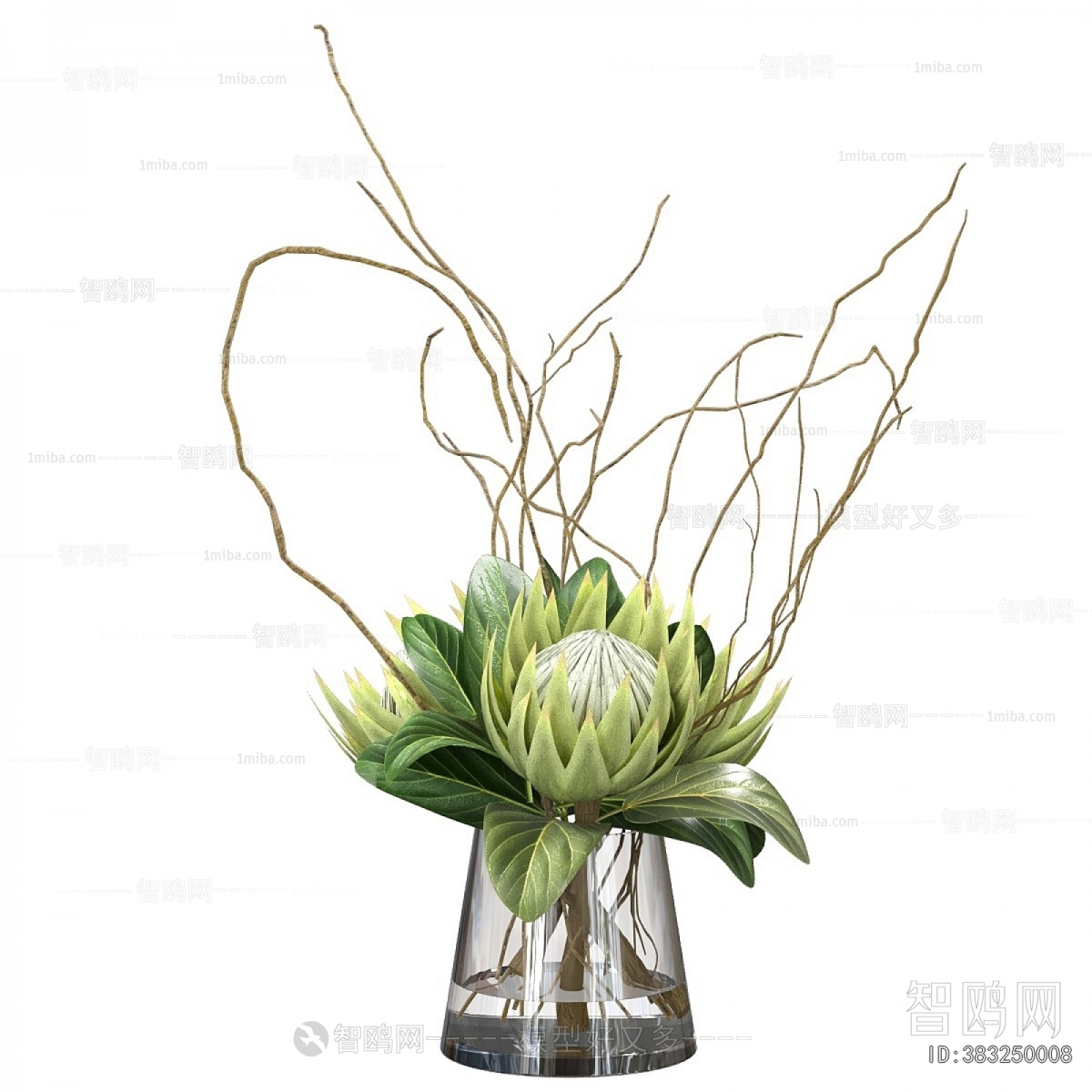 Modern Aquatic Green Plant