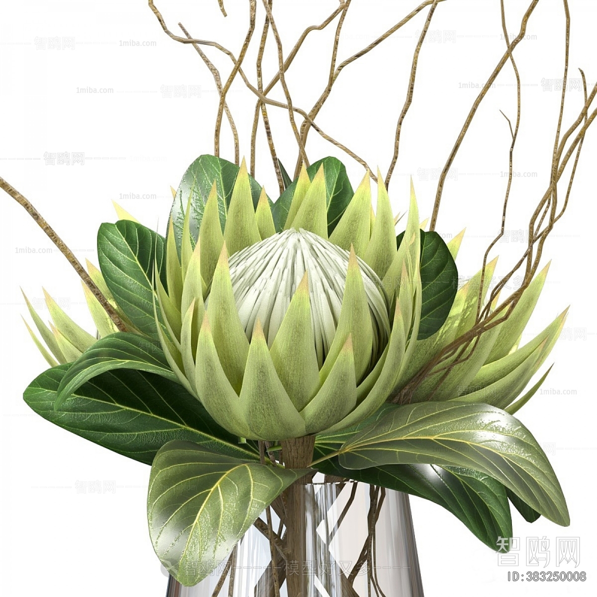 Modern Aquatic Green Plant