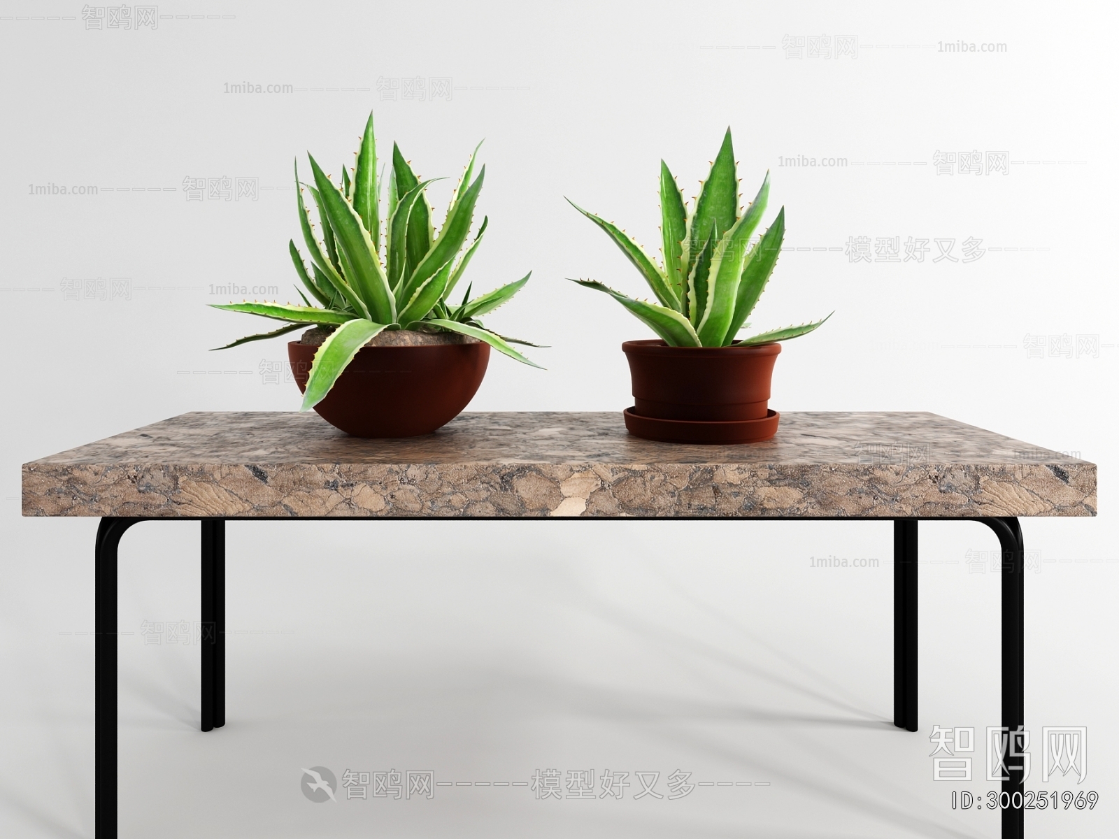 Modern Desktop Plant