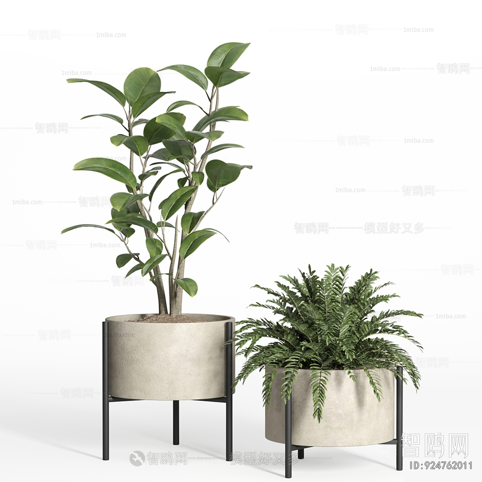 Modern Ground Green Plant Potted Plants