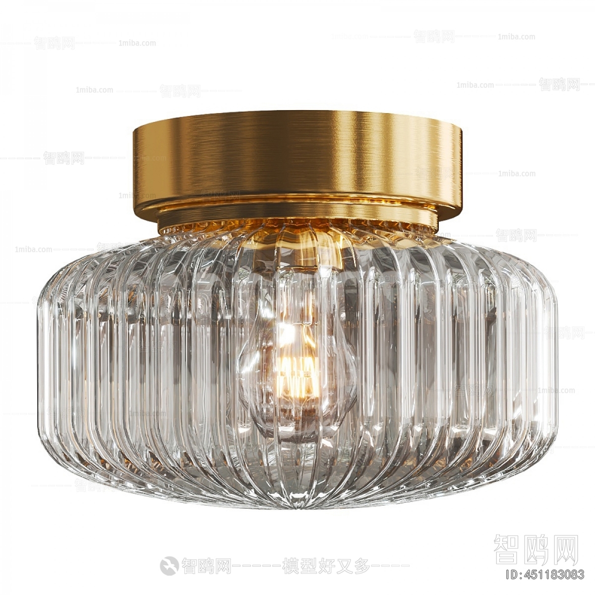 Modern Ceiling Ceiling Lamp