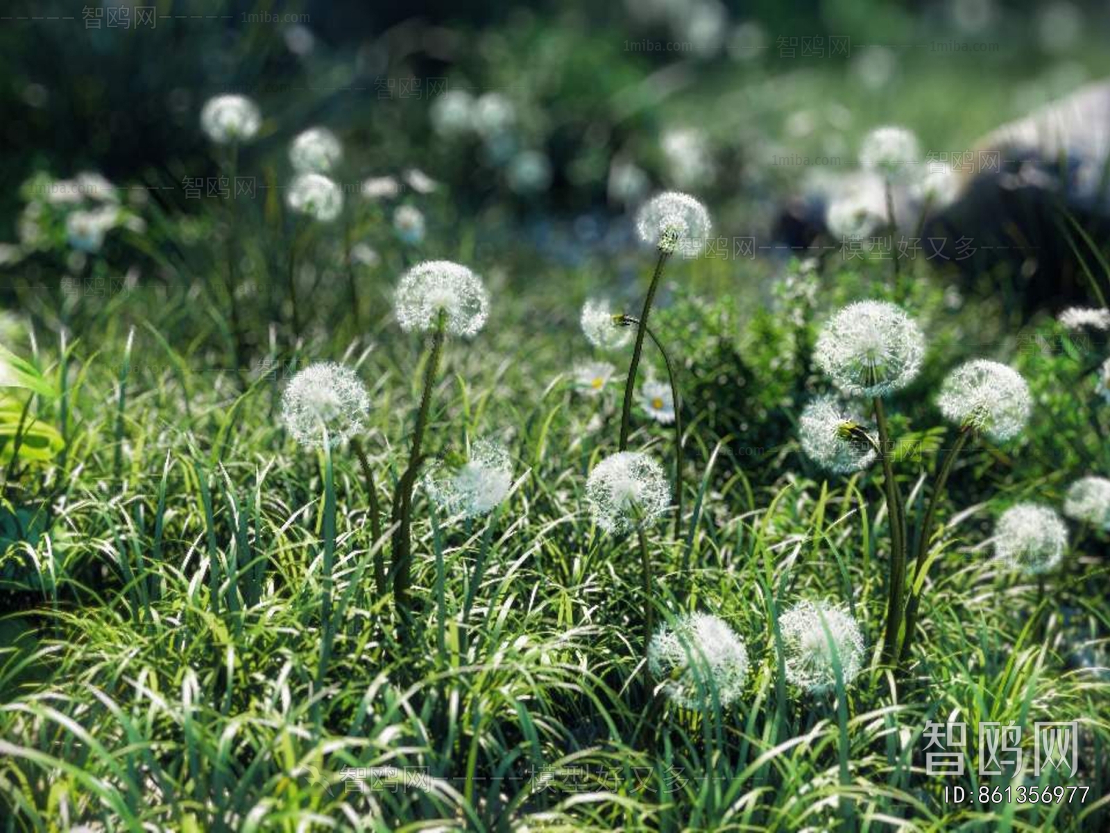 Modern Flowers And Grass