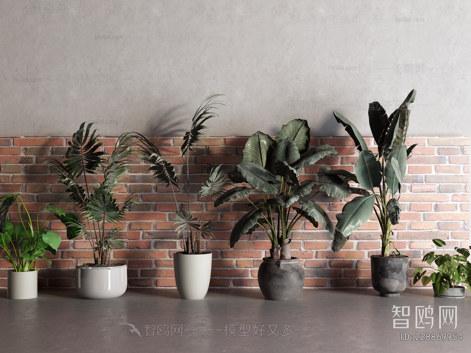 Modern Ground Green Plant Potted Plants