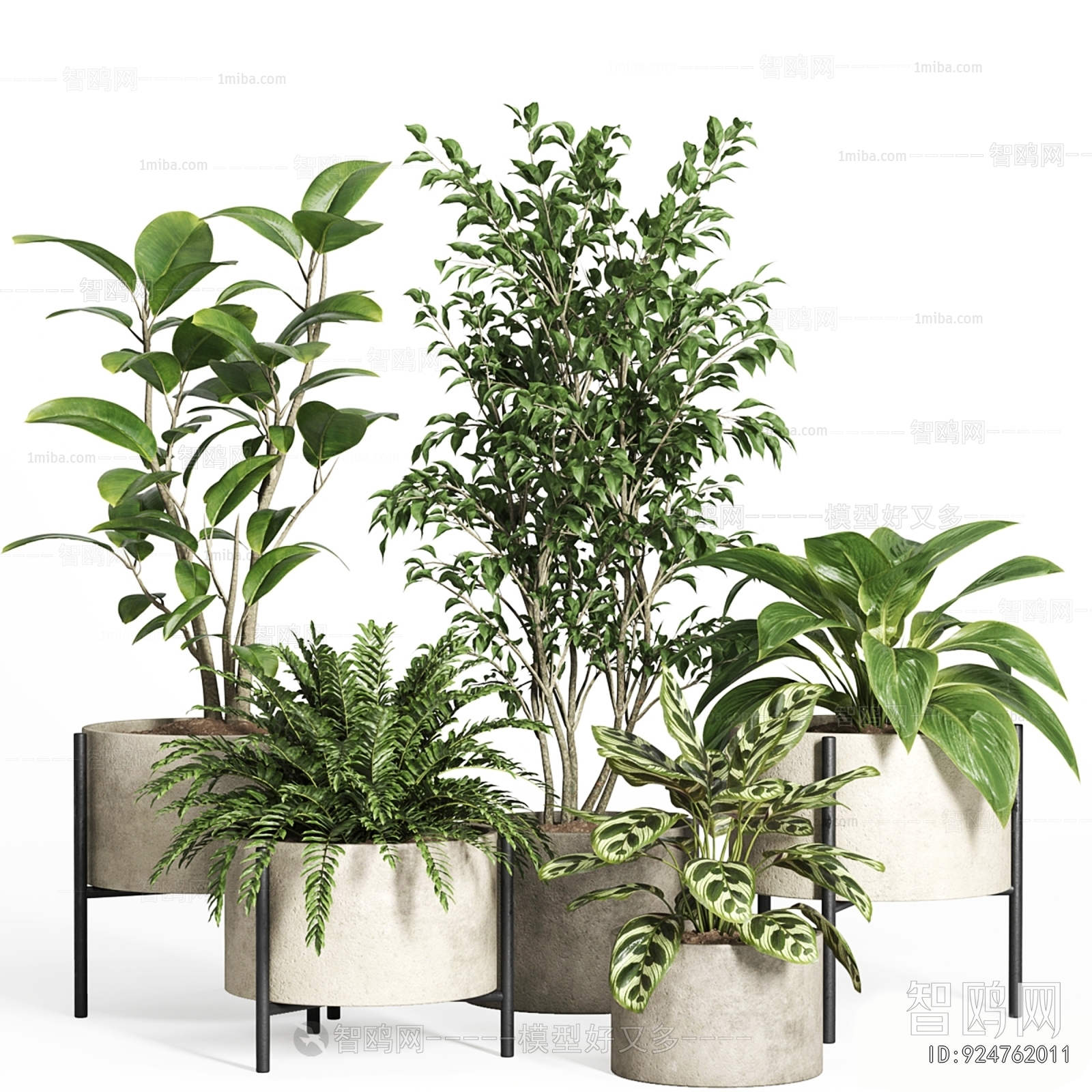 Modern Ground Green Plant Potted Plants