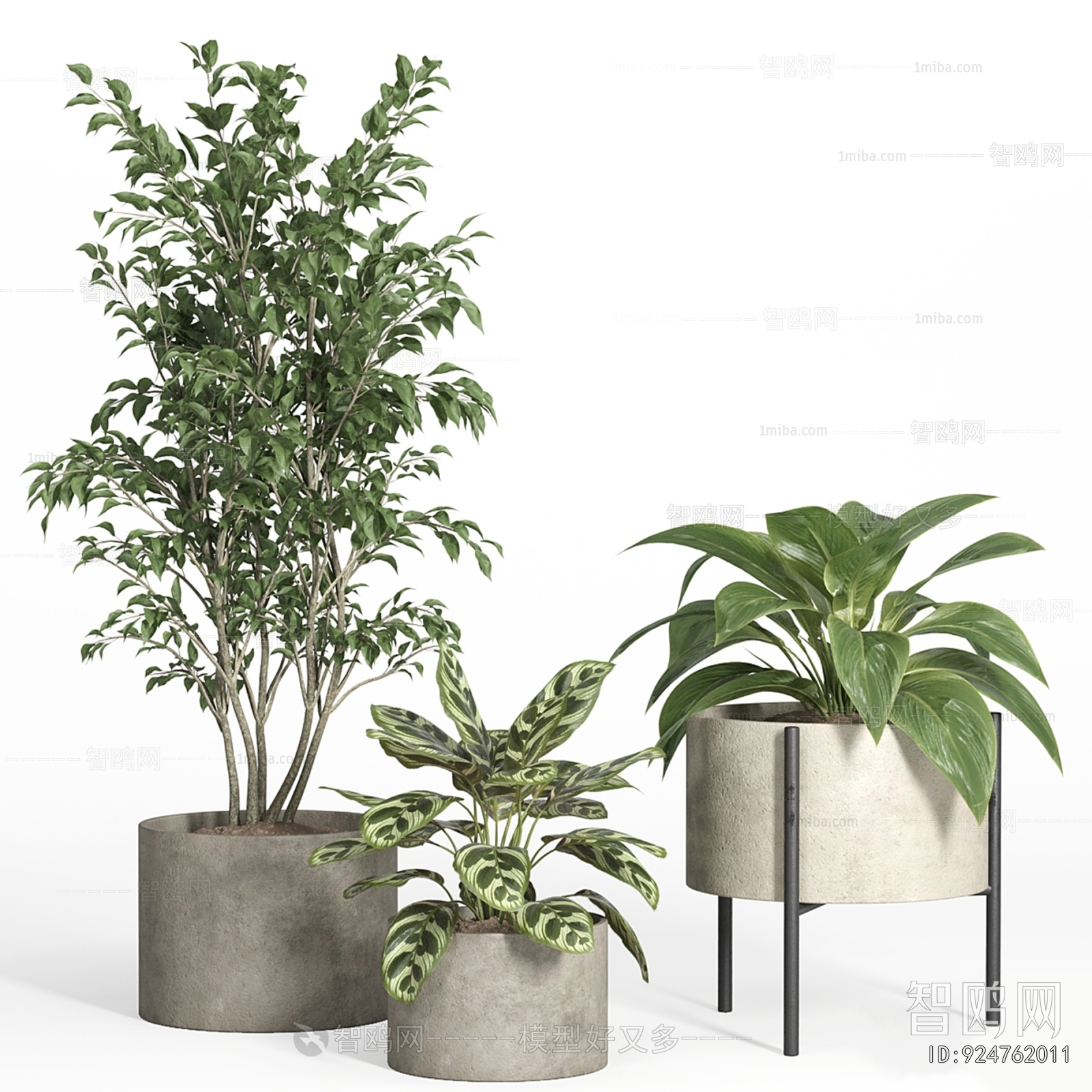 Modern Ground Green Plant Potted Plants