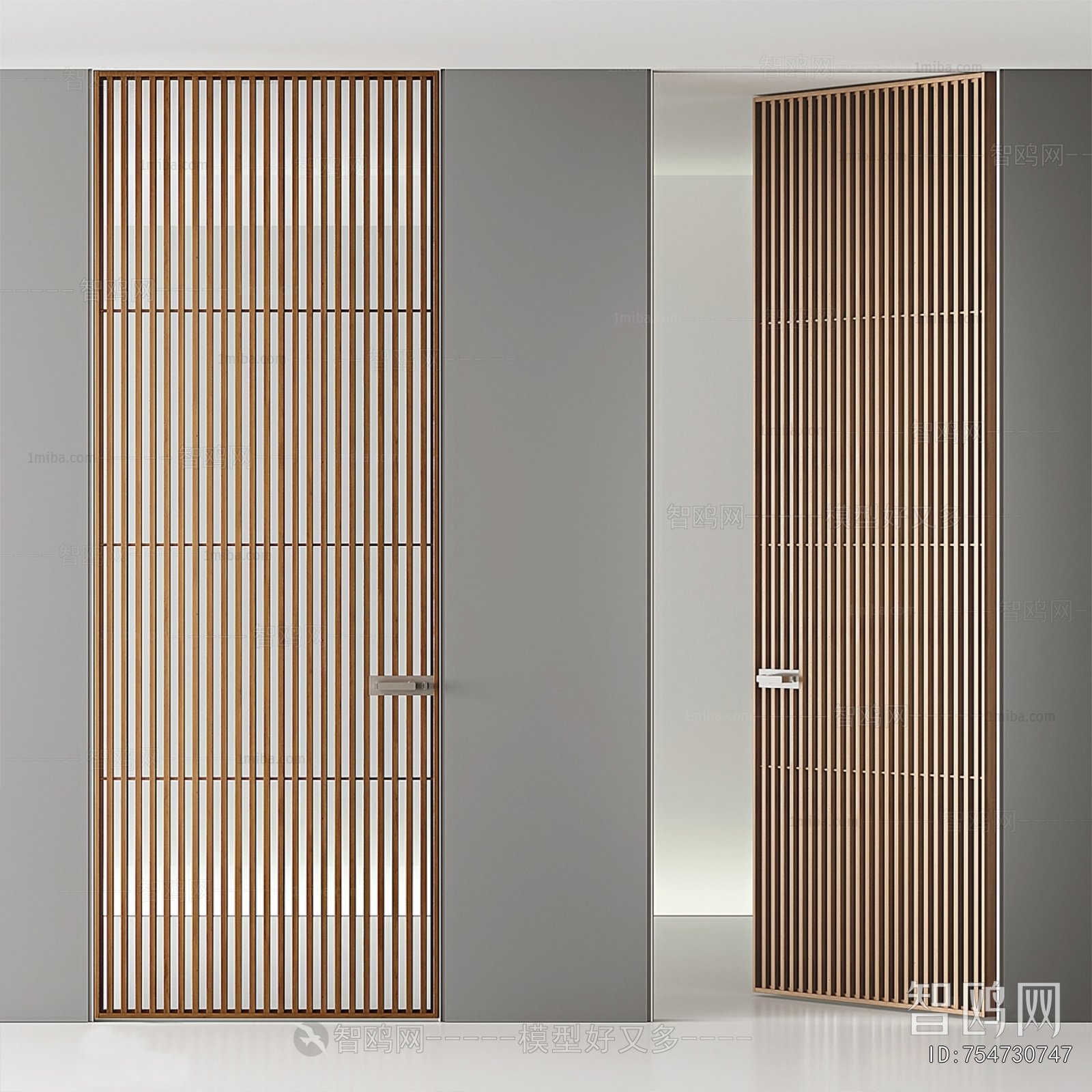 Modern Single Door