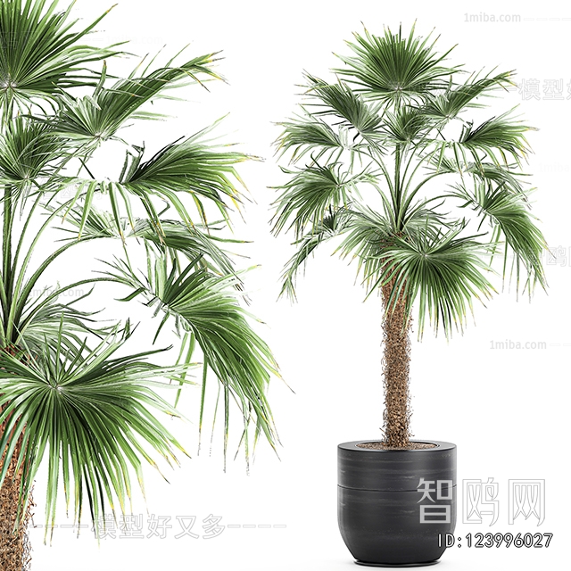 Modern Ground Green Plant Potted Plants