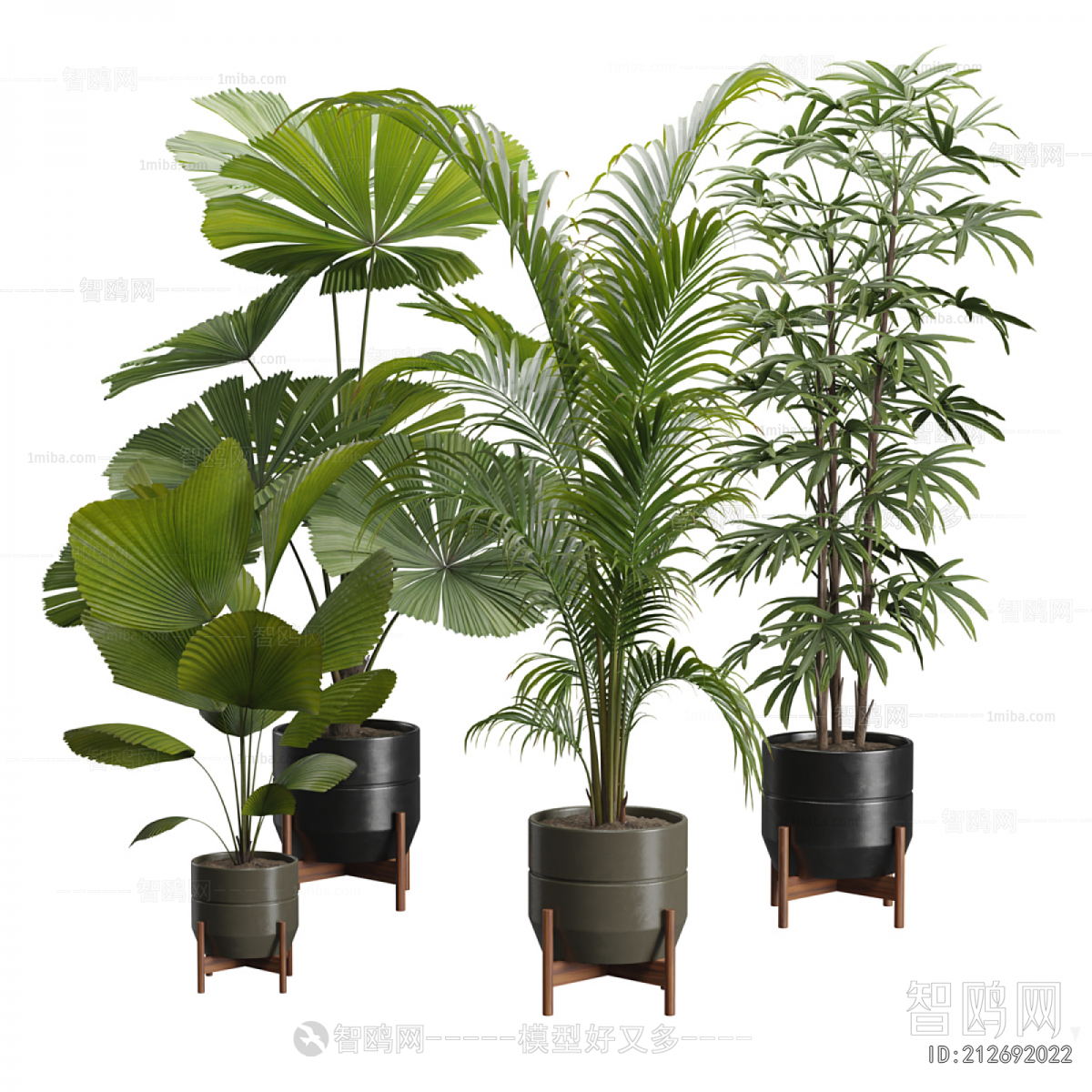 Modern Ground Green Plant Potted Plants