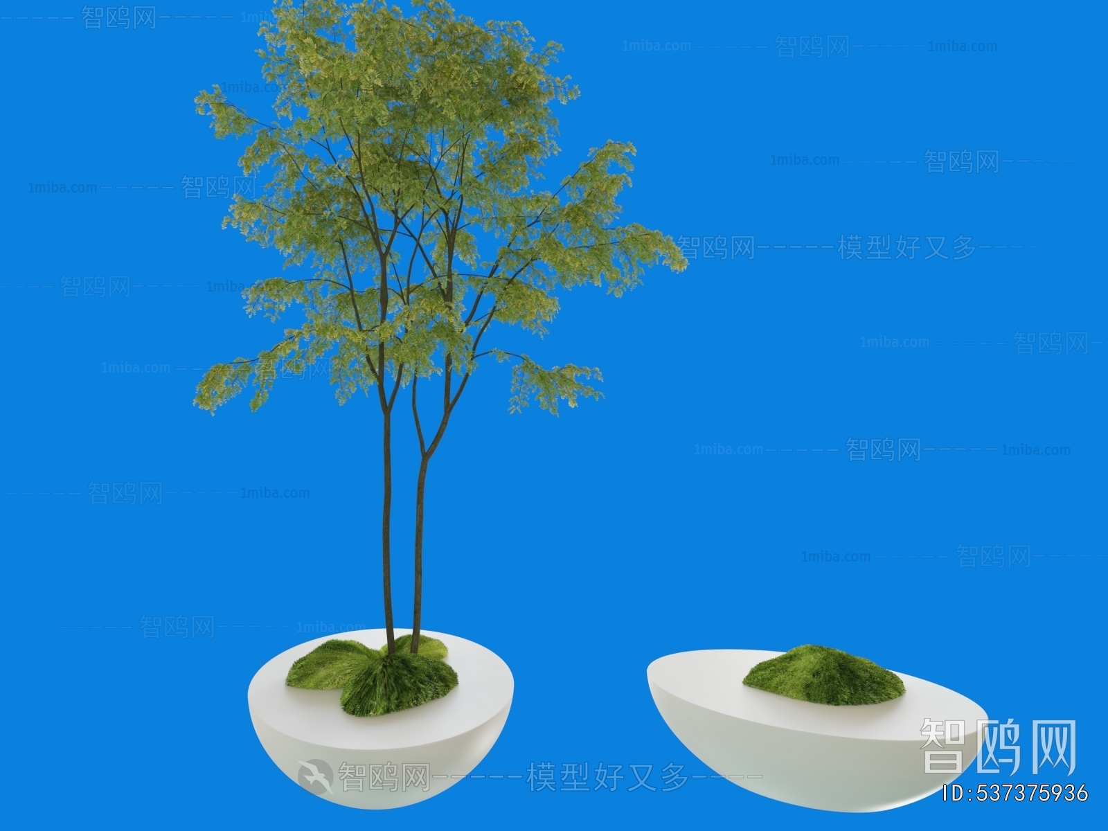 Modern Ground Green Plant Potted Plants