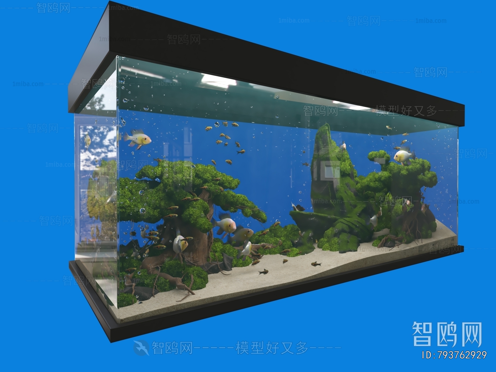 Modern Fish Tank