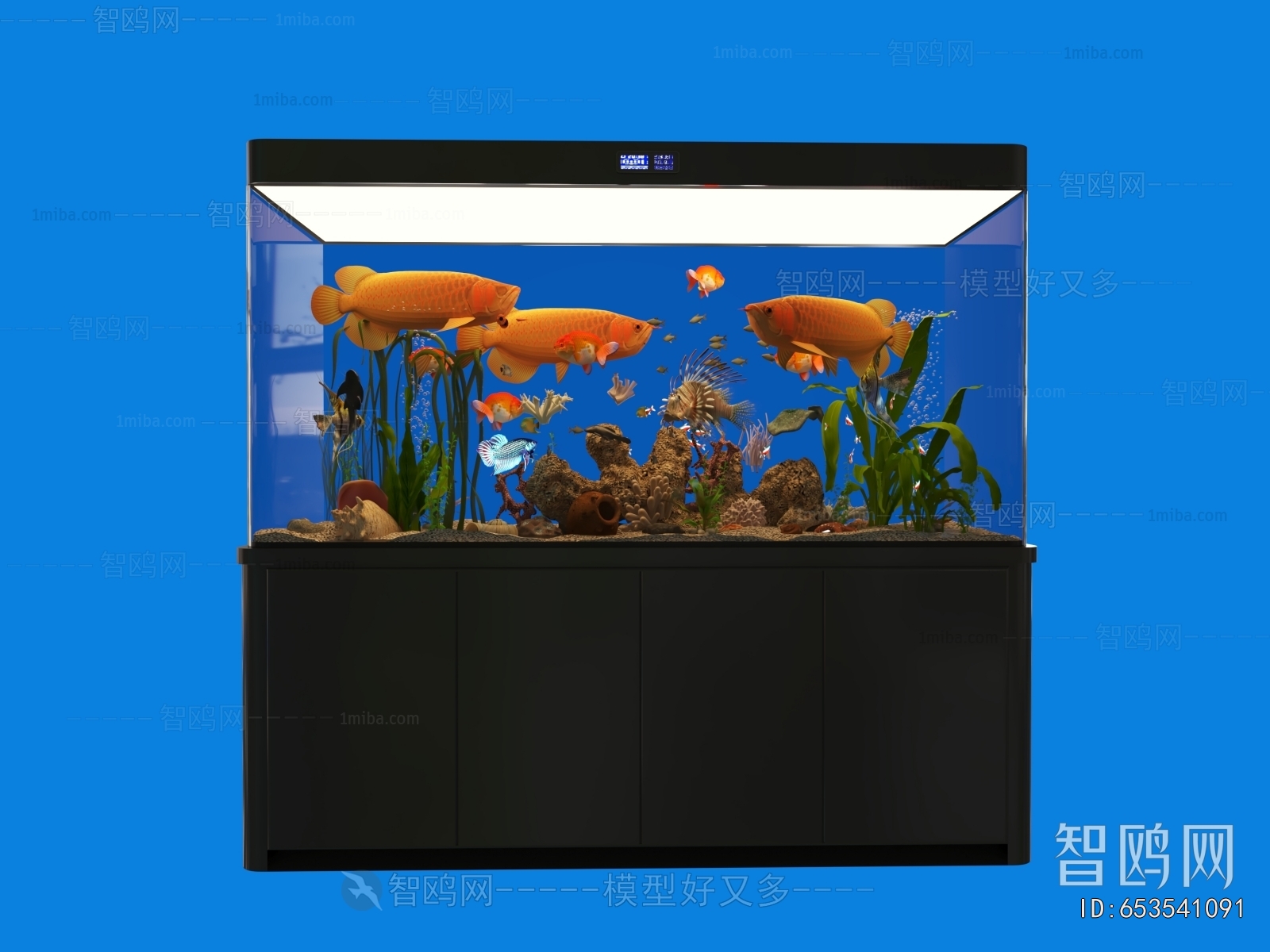 Modern Fish Tank