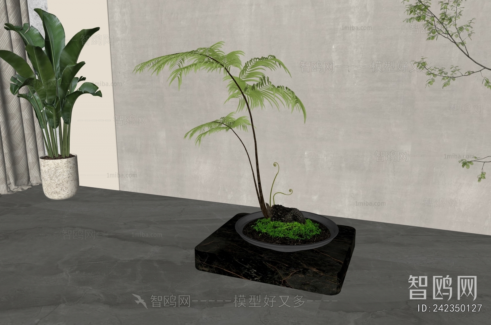 Modern Bonsai