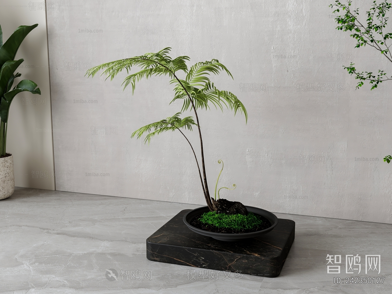 Modern Bonsai