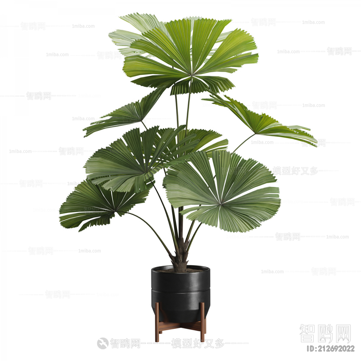 Modern Ground Green Plant Potted Plants