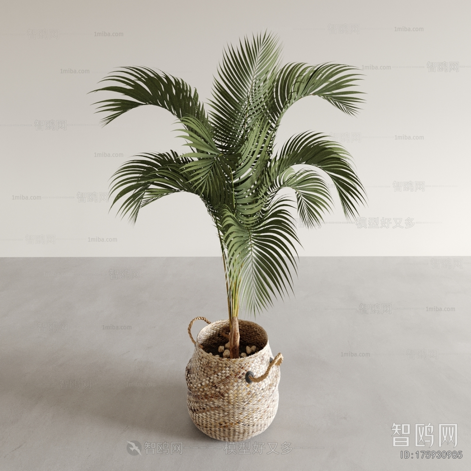 Modern Ground Green Plant Potted Plants