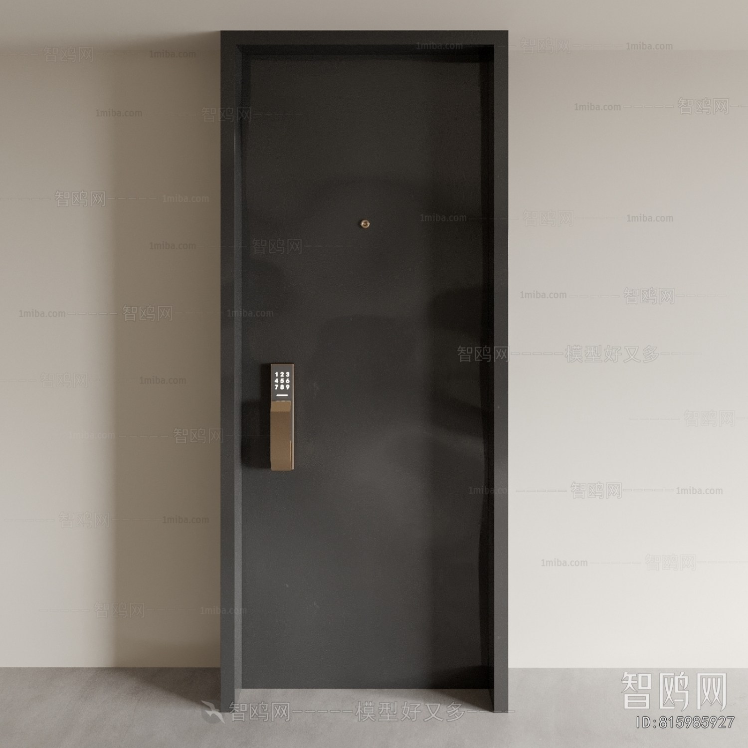 Modern Entrance Door