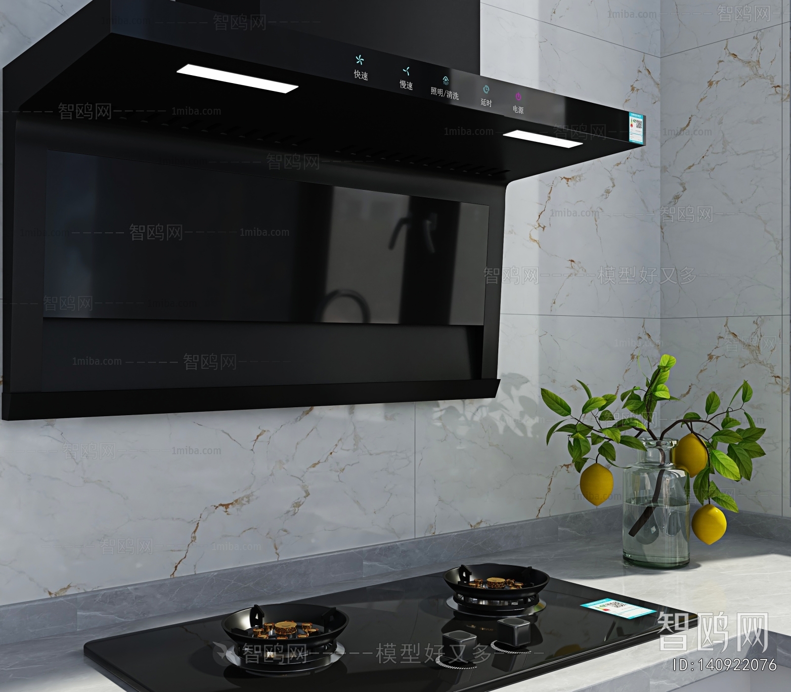 Modern Kitchen Electric Gas Range