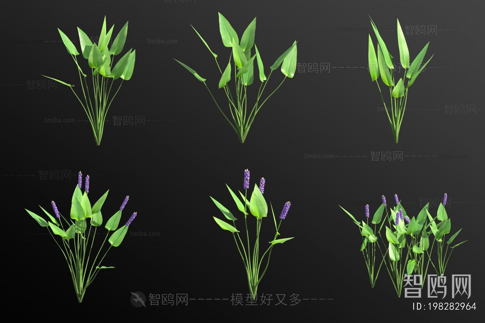 Modern Aquatic Green Plant