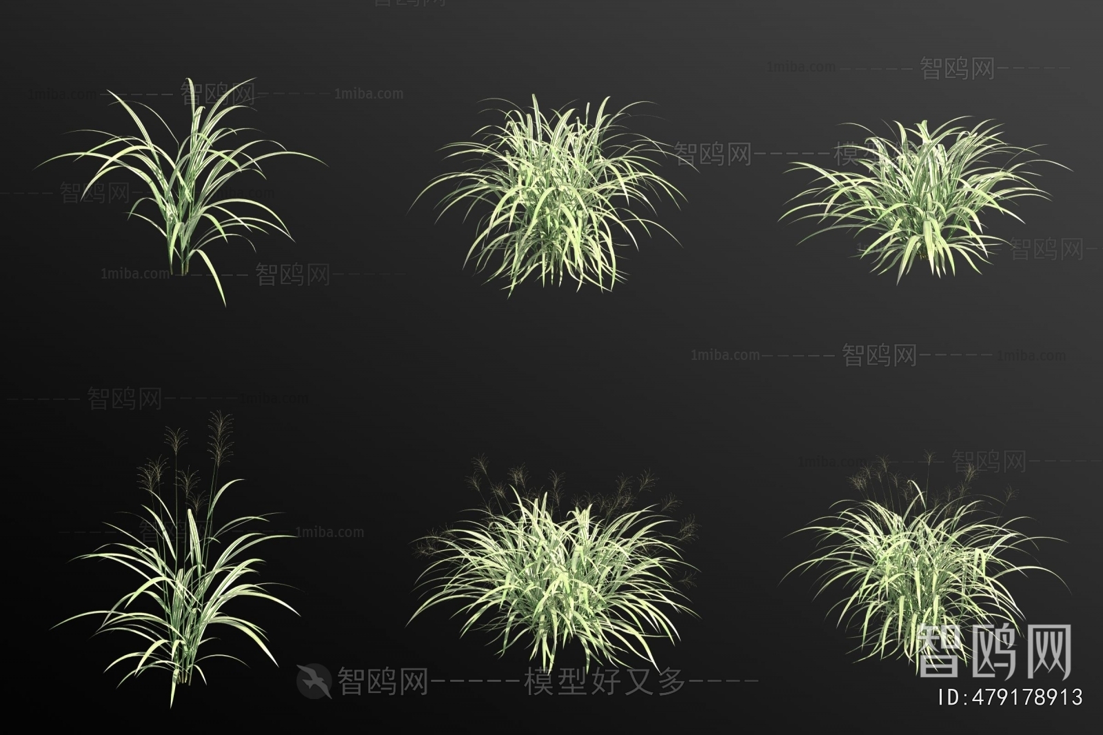 Modern Aquatic Green Plant