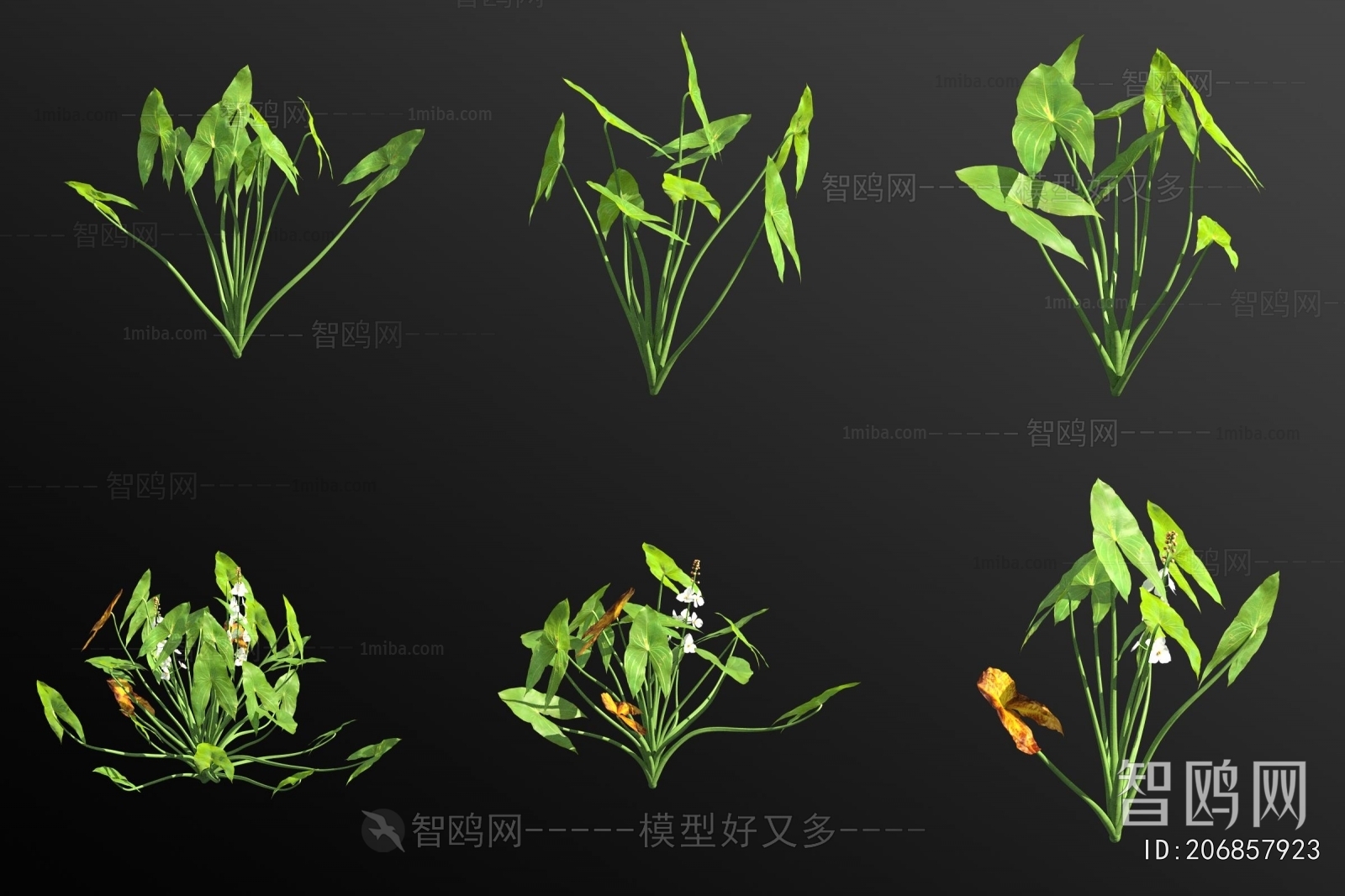 Modern Aquatic Green Plant