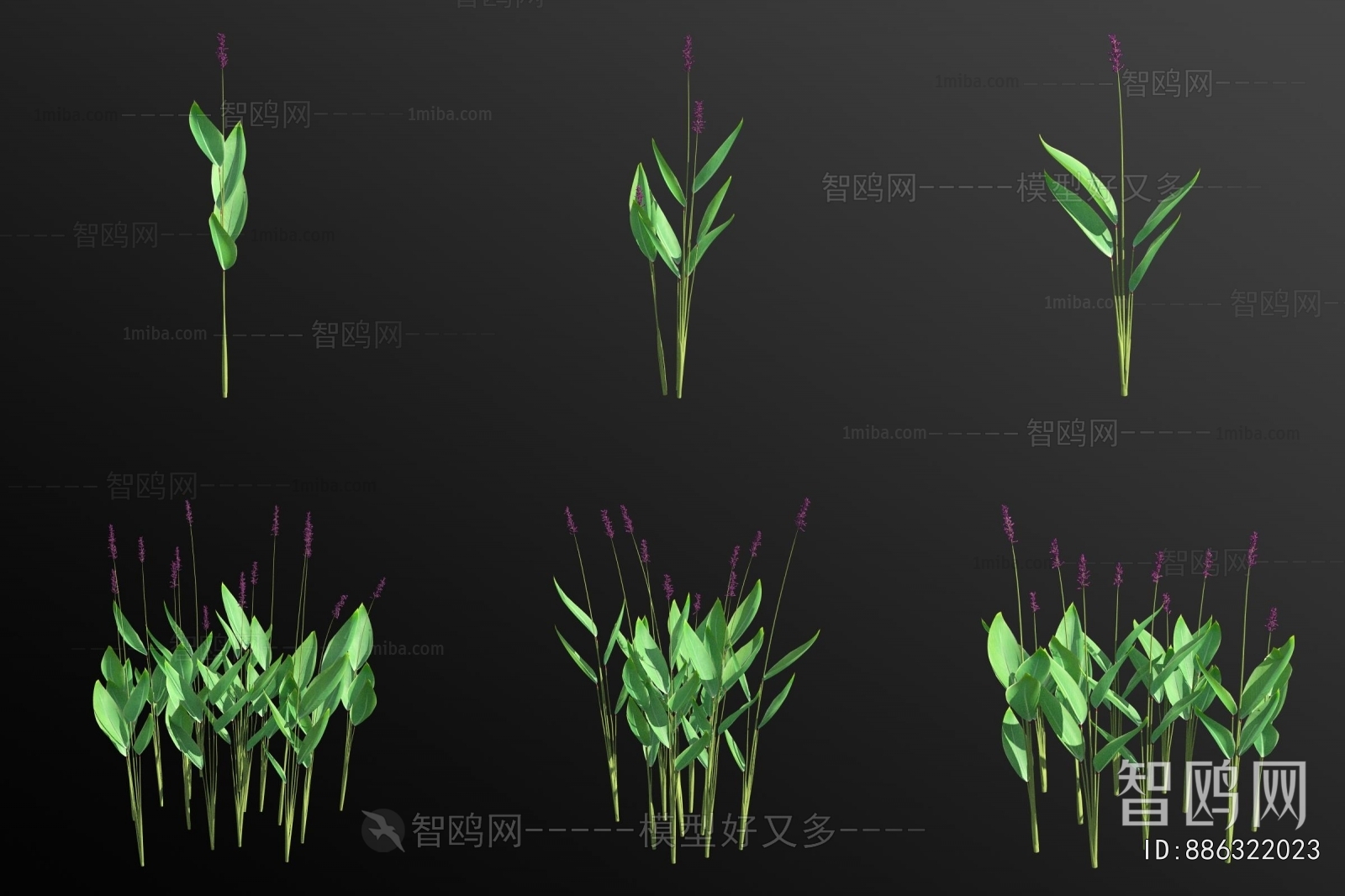 Modern Aquatic Green Plant