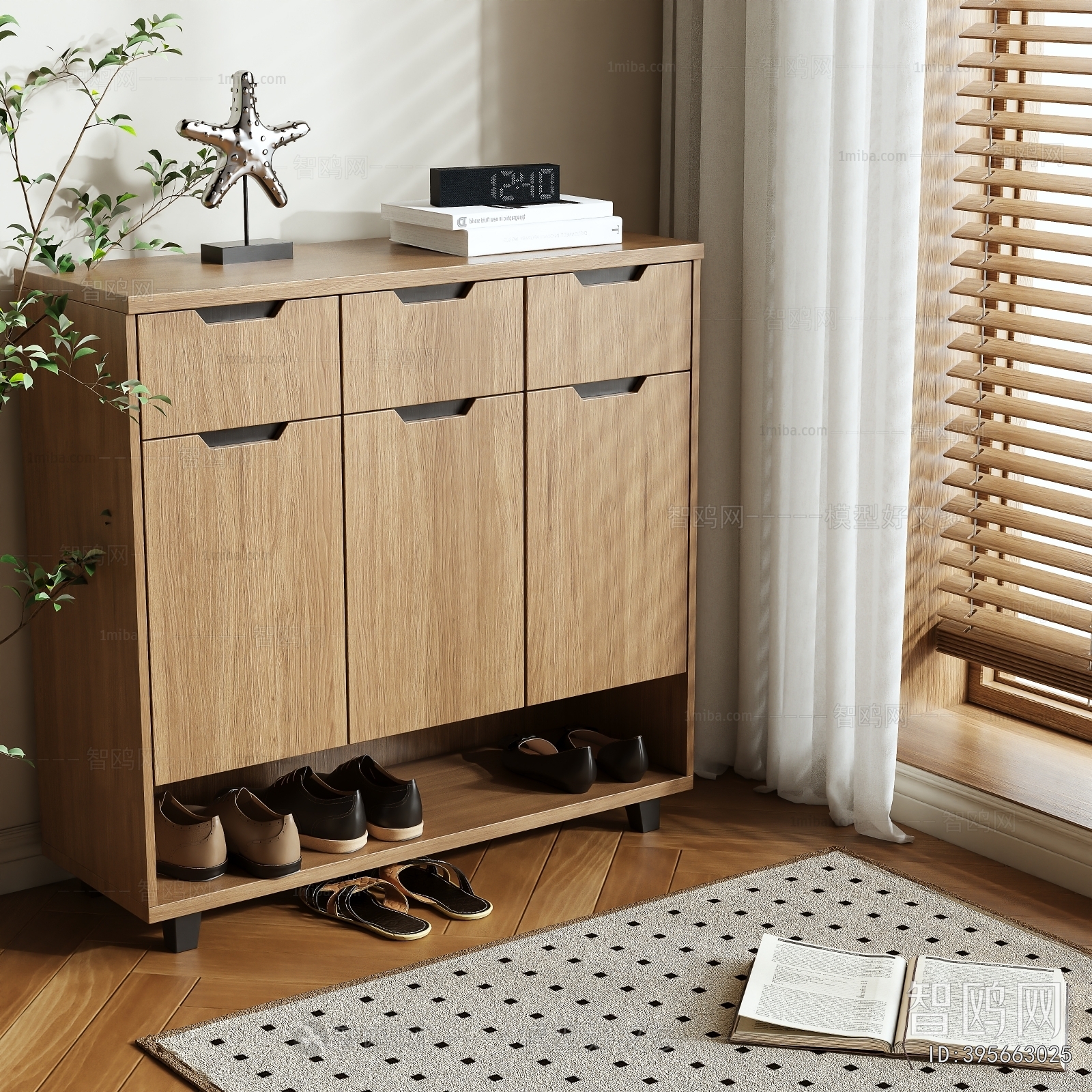 Modern Shoe Cabinet