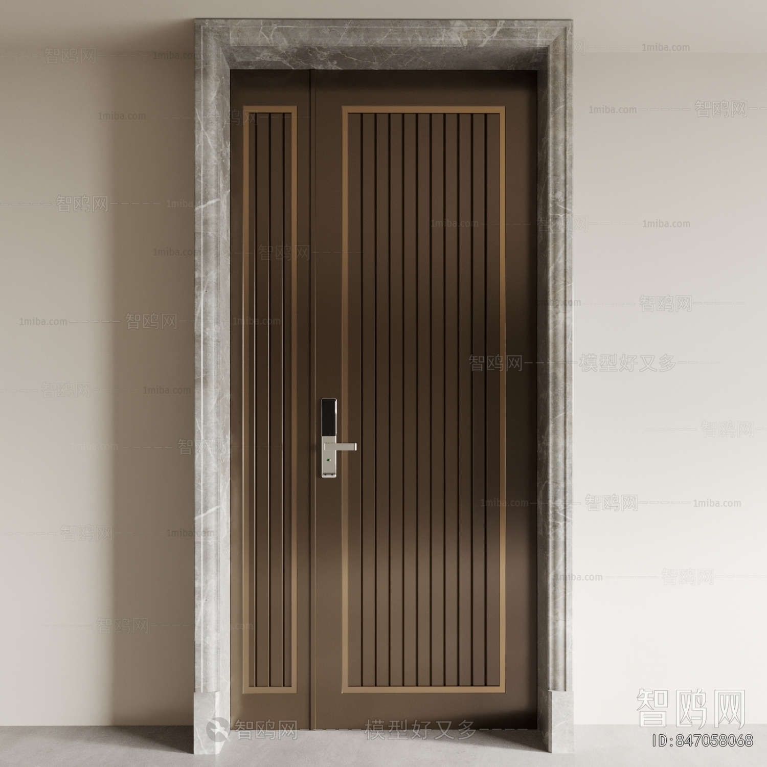 Modern Entrance Door