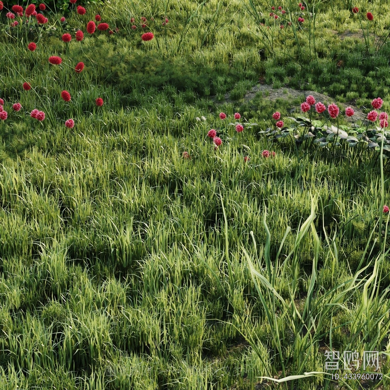 Modern Flowers And Grass