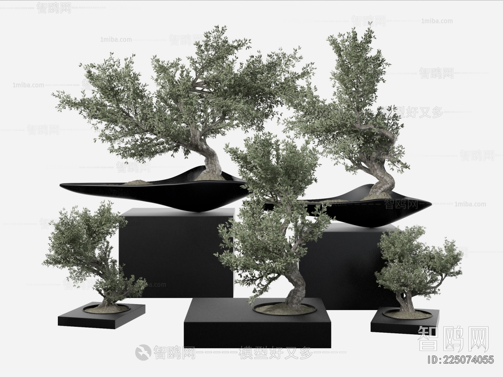 New Chinese Style Bonsai