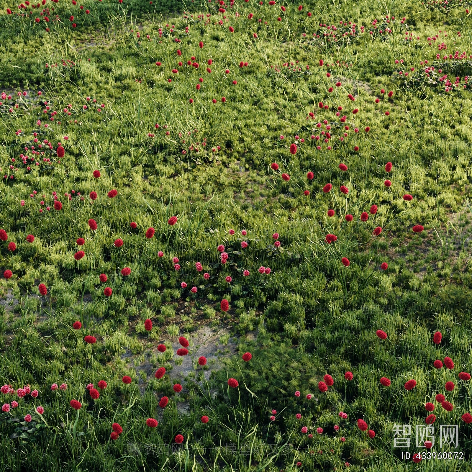 Modern Flowers And Grass