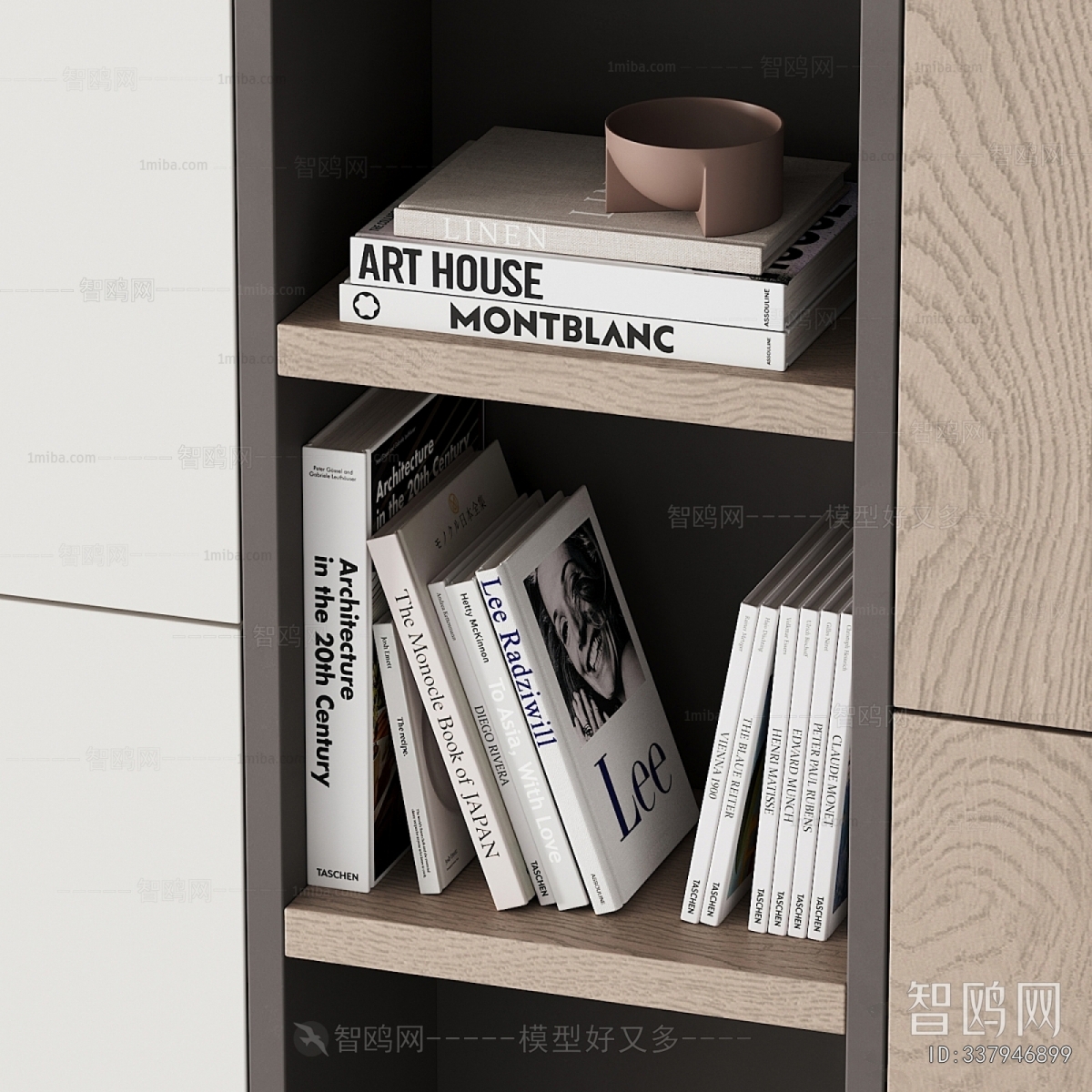 Modern Bookcase