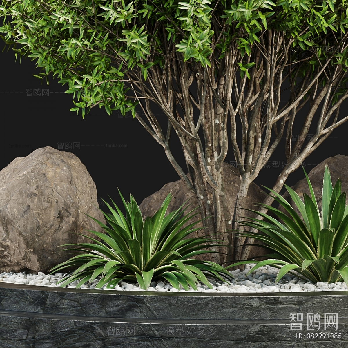 Modern Plant Landscaping