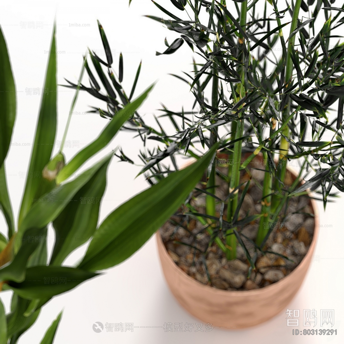 Modern Potted Green Plant